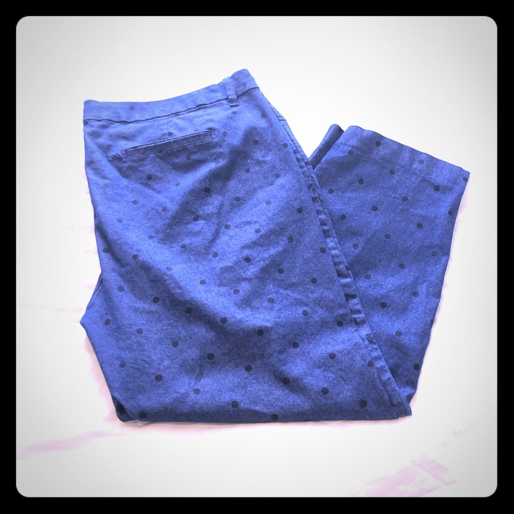 Polka dot Pixie pant, NWOT